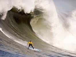 最新伟德教育官网首页电话