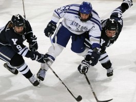 im登录失败怎么解决