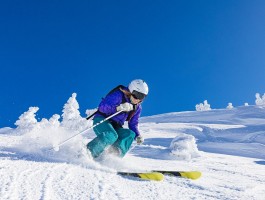 乐于乐人是什么意思