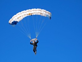 最新伟德教育官网首页查询