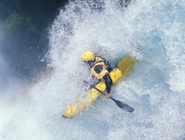 体脂秤OKOK官方下载